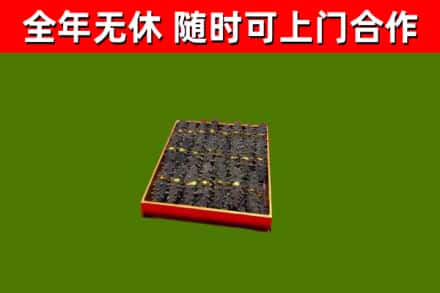 阆中回收海参
